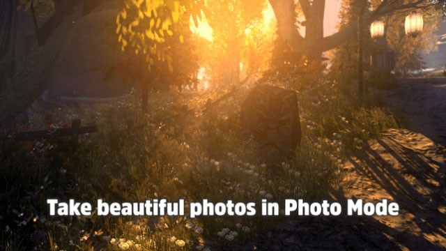 Chụp những bức ảnh tuyệt đẹp ở chế độ Photo