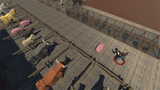 Đóng tàu để chở các loài vật ra khỏi tâm bão