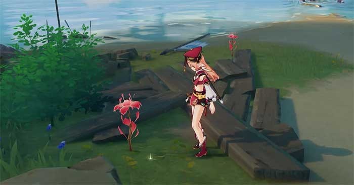 Nơi Farm Dendrobium trong Genshin Impact | Hướng Dẫn Chi Tiết