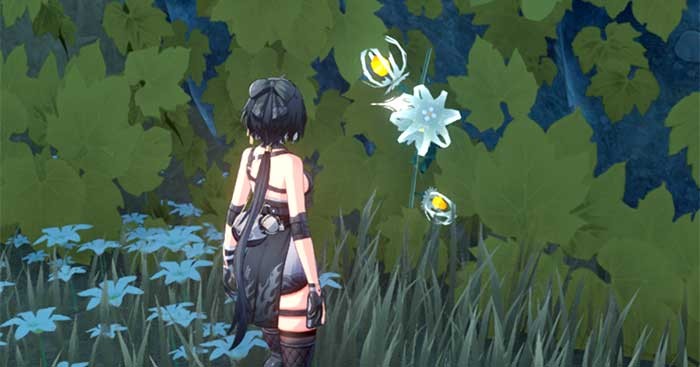 Lanternberry giúp nâng cấp cho hai nhân vật Baizhi và Jianxin