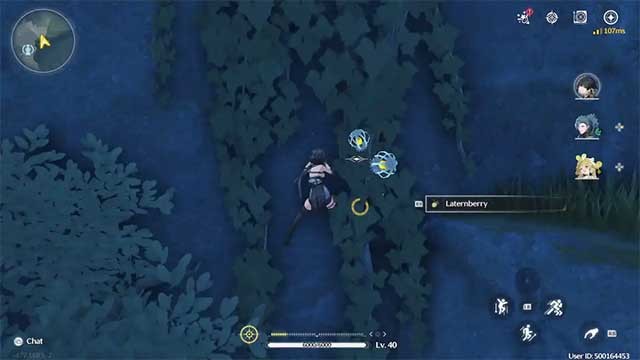 Thu thập Lanternberry ở Tiger's Maw Mine