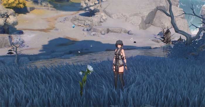 Wuthering Waves: Nơi tìm và farm Wintry Bell