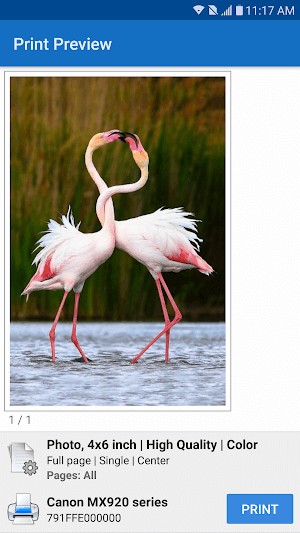 Tùy chọn in khác nhau