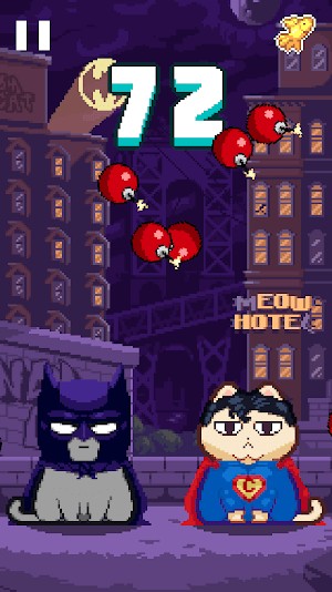 Nhiều con mèo độc đáo khác nhau