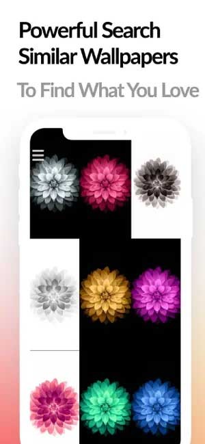 Hiển thị hình nền tương tự