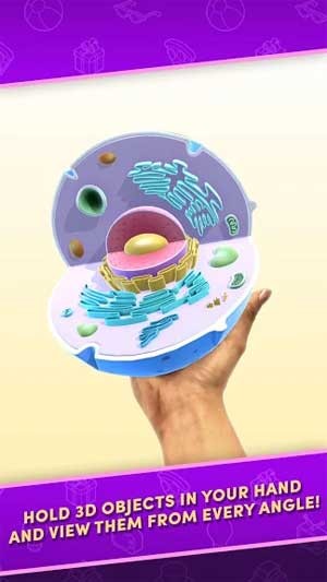 Với Object Viewer, bạn có thể quan sát mọi khía cạnh của vật thể dưới dạng 3D