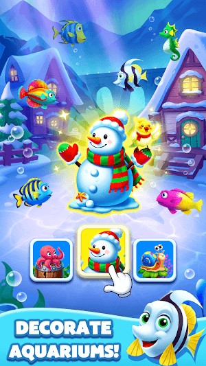 Trang trí các bể cá