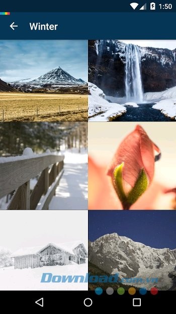 Hình nền mùa đông trên OGQ Backgrounds HD