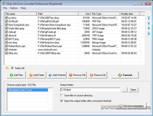 Okdo All to Ico Converter Professional