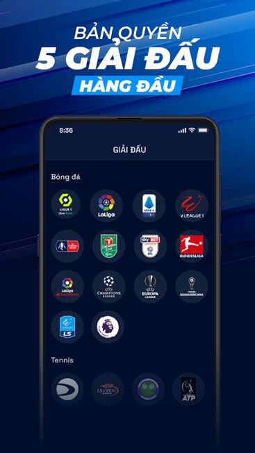 Bản quyền 5 giải đấu