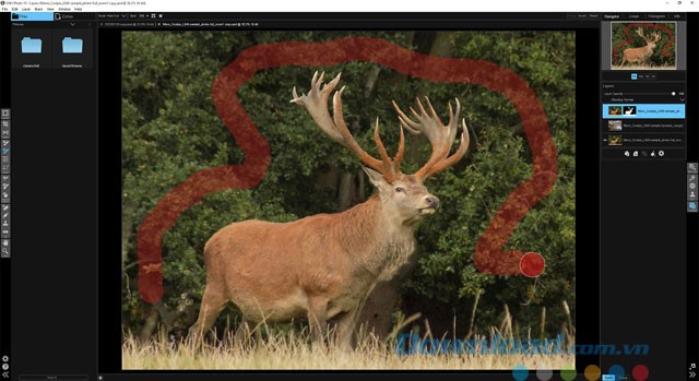 Khả năng làm việc với layer