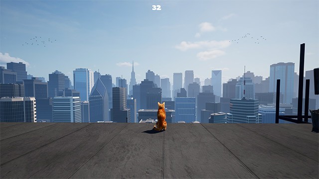 Cùng mèo con tìm đường về nhà từ trên nóc nhà cao tầng