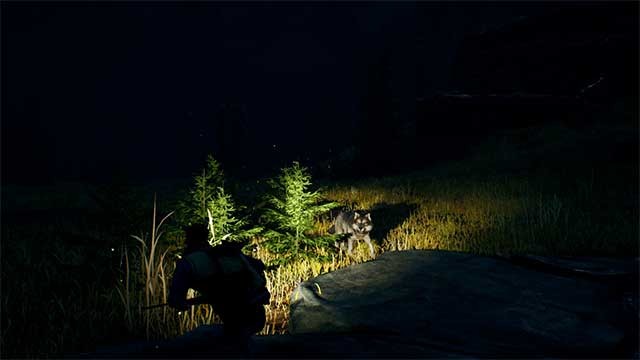 Đốt lửa trước khi trời tối vì những con sói và gấu đói có thể tấn công bất cứ lúc nào