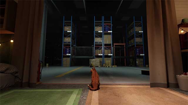 Đối mặt với nhiều tình huống đáng sợ trong kho hàng