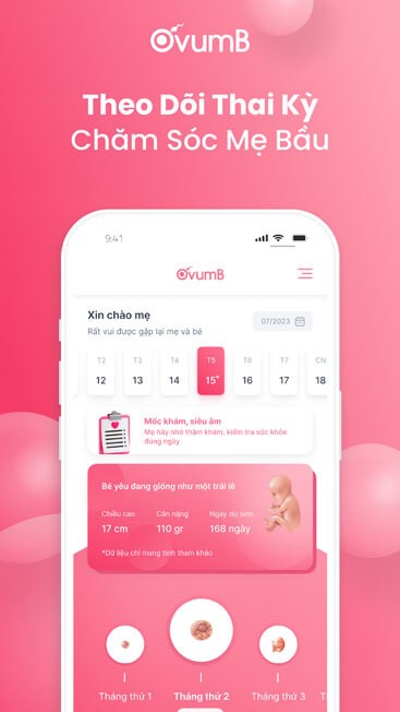 Hỗ trợ theo dõi thai kỳ