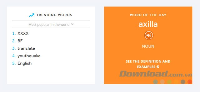 Từ trong ngày và xu hướng