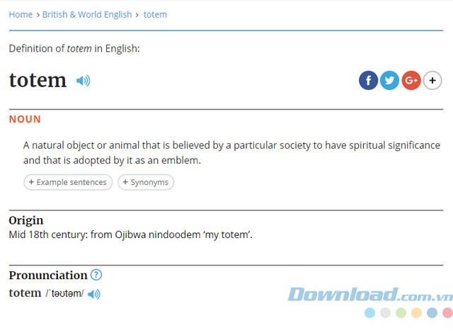 Kết quả tra cứu