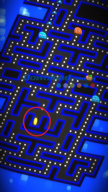 Hành trình khám phá mê cung bất tận