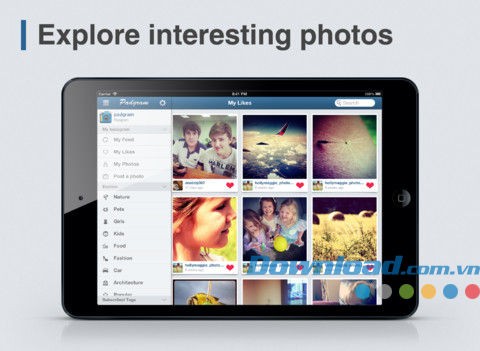 Padgram for iPad