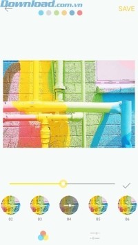 Màu sắc rực rỡ, tươi mới của ngày hè