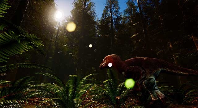 Có rất nhiều quần xã sinh vật đa dạng trên các đảo