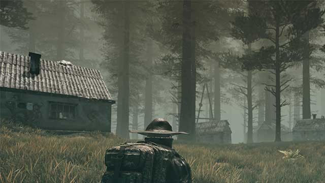 Khám phá những vùng đất bị cây cối và rễ cây bí ẩn mọc um tùm