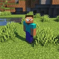 ParCool! Mod - Thêm Hoạt Động Tương Tác Cho Steve