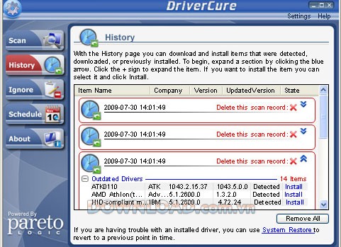 ParetoLogic DriverCure