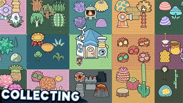 Thu thập hơn 100 loài cây độc đáo