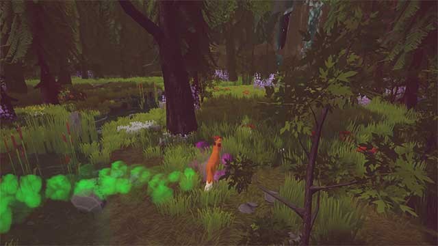 Vào vai một con cáo đi khám phá các mùa trong rừng