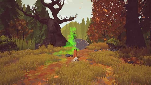 Học cách nhìn thế giới theo cách tươi sáng hơn