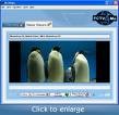 PCTV4Me 2.1.3 - Học ngoại ngữ & Xem truyền hình
