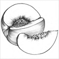 Hướng dẫn vẽ chì | Ứng dụng học vẽ tranh miễn phí