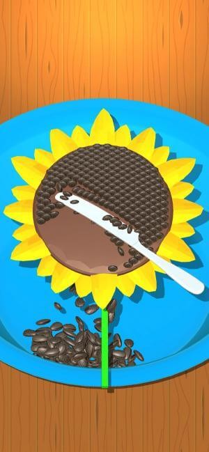 Lấy hạt hướng dương