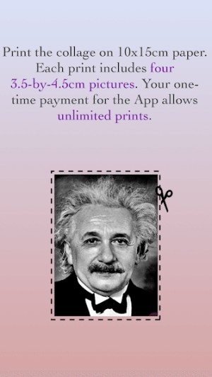 Các bức ảnh đều tuân thủ các yêu cầu chính thức về sinh trắc học đối với một bức ảnh hộ chiếu, ảnh thẻ.