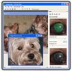 Pet Eye Pilot 3.7.4 - Phần mềm loại bỏ hiệu ứng độ sáng mắt thú cưng
