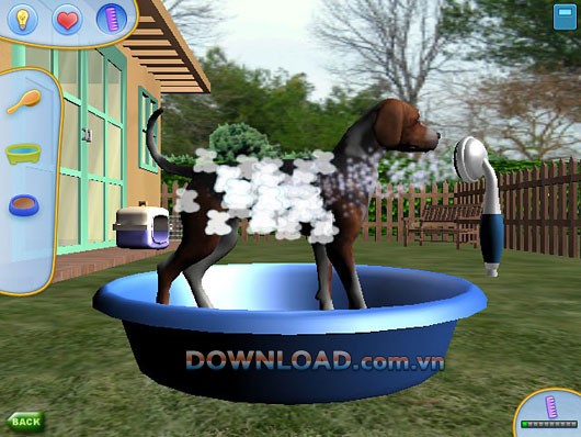 Pet Pals: New Leash on Life