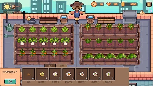 Cùng Xiaoli chinh phục các mini-game và hoạt động để cải thiện chỉ số trong Pet Street Story