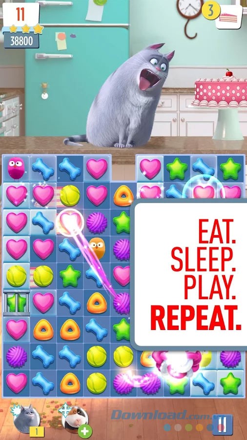 Ăn ngủ cùng thú cưng