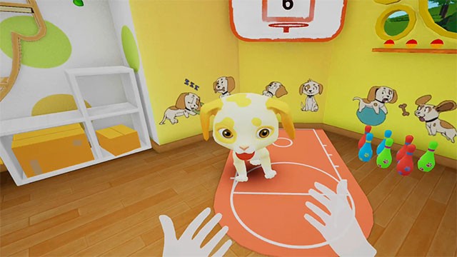 Chăm sóc thú cưng từ A-Z trong game Pets VR