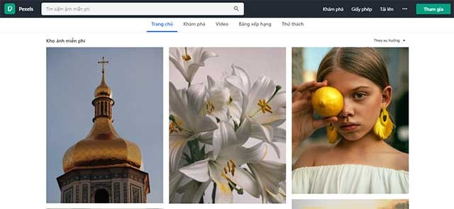 Pexels là thư viện ảnh stock và video chất lượng, miễn phí