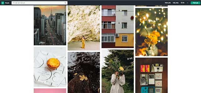 Pexels là một công cụ cực kỳ hữu ích cho designer