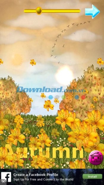 Tìm hiểu về 4 mùa