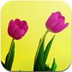 Photo Player Pro for iOS 1.6.0 - 3D Photo Cube Slideshow