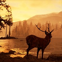 Photography Simulator - Game Giả Lập Nhiếp Ảnh Gia