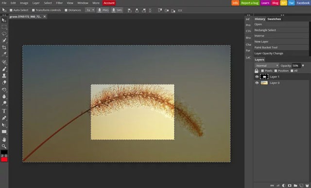 Chỉnh sửa ảnh miễn phí, đa năng và dễ sử dụng