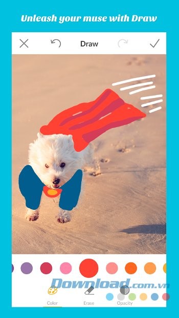 Thỏa sức thể hiện sự sáng tạo với công cụ Draw