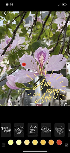 Tùy chỉnh typo bằng cách đổi vị trí, màu font...