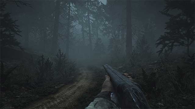 Đi sâu tìm hiểu những điều kinh hoàng ẩn giấy trong khu rừng tối tăm