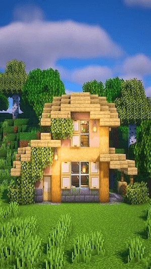 Thể hiện sự sáng tạo của bạn